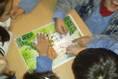 san-francesco_02